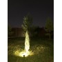 Садовый светильник SP-33005