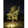 Садовый светильник SP-33005